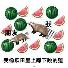 麦马网课吃瓜原视频资源