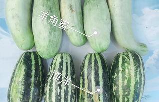 伦敦吃瓜网红是谁,街头美食背后的故事