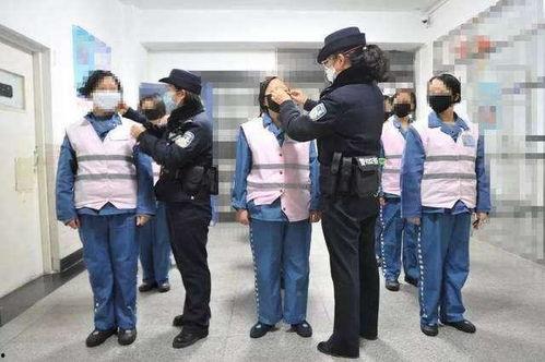 中国警察网张津瑜吃瓜,中国警察网吃瓜背后的真相揭秘