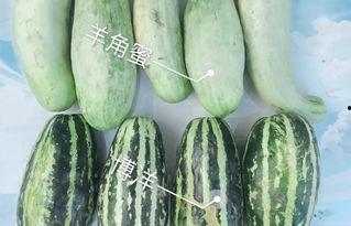 专门讲吃瓜的网红叫什么,揭秘吃瓜网红的传奇人生