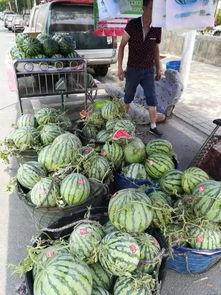 长沙网红吃瓜事件,揭秘网络舆论的风云变幻