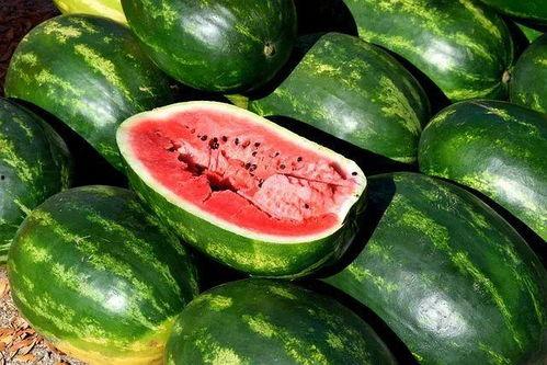 梅州网红吃瓜视频下载,揭秘当地美食文化新潮流