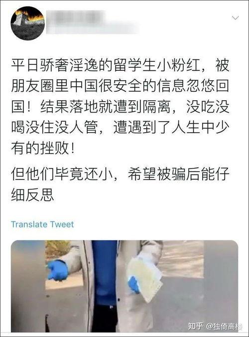呼市网红吃瓜事件始末,从热议到真相大白