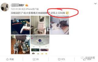 网红直播吃瓜入口在线观看,观众在线围观一饱眼福