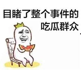 吃瓜群众买买买素材网,揭秘“买买买”素材网背后的疯狂世界